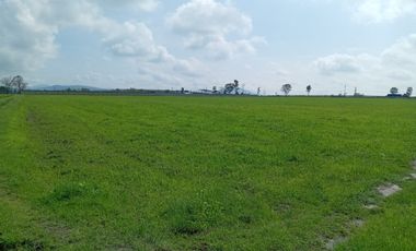 Terreno en Venta en Polotitlan, Estado de Mexico