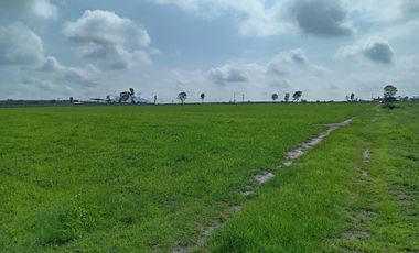 Terreno en Venta en Polotitlan, Estado de Mexico