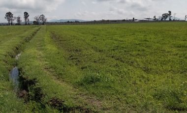 Terreno en Venta en Polotitlan, Estado de Mexico
