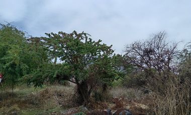 Terreno en Venta en la Purísima, San Juan de Río, Querétaro.