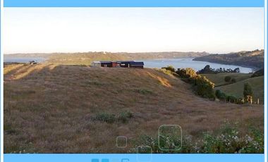 CHILOE / CHONCHI / RAUCO
