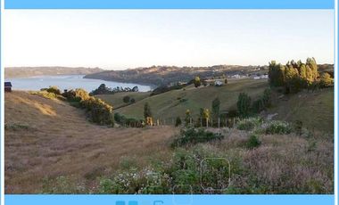 CHILOE / CHONCHI / RAUCO