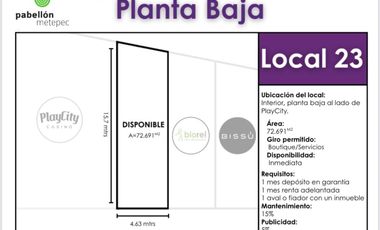Locales en Renta en La Purísima