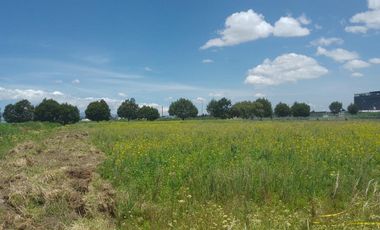 Terrenos en Renta en San Miguel Totocuitlapilco