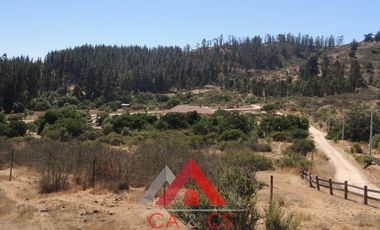 LINDO CAMPO  DE 10 HA CON AGUA Y LUZ EN LAGUNILLAS,CASABLANCA