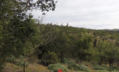 LINDO CAMPO  DE 10 HA CON AGUA Y LUZ EN LAGUNILLAS,CASABLANCA