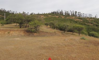 LINDO CAMPO  DE 10 HA CON AGUA Y LUZ EN LAGUNILLAS,CASABLANCA