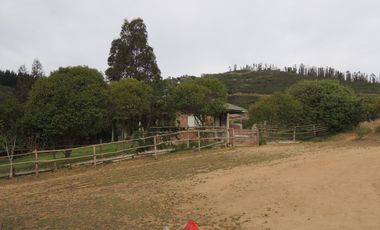LINDO CAMPO  DE 10 HA CON AGUA Y LUZ EN LAGUNILLAS,CASABLANCA