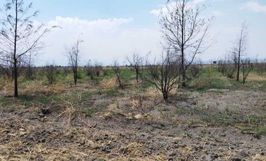 ¡Oportunidad Única de Inversión en Texcoco!