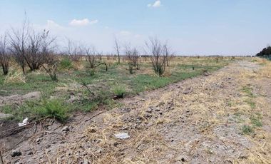 ¡Oportunidad Única de Inversión en Texcoco!