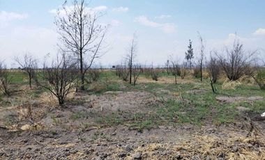 ¡Oportunidad Única de Inversión en Texcoco!