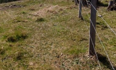 Parcela en Venta Carahue sector Mate Sanchez