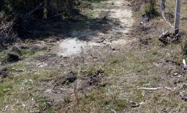 Parcela en Venta Carahue sector Mate Sanchez