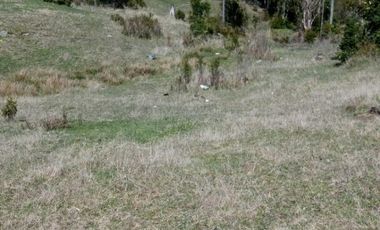 Parcela en Venta Carahue sector Mate Sanchez