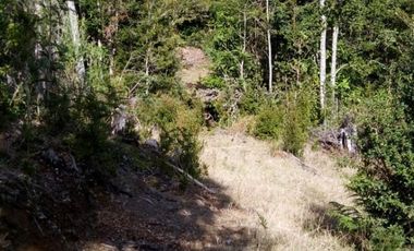 Parcela en Venta Carahue sector Mate Sanchez