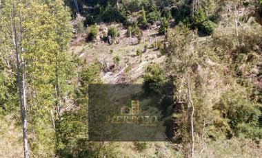 Parcela en Venta Carahue sector Mate Sanchez