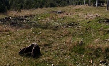 Parcela en Venta Carahue sector Mate Sanchez