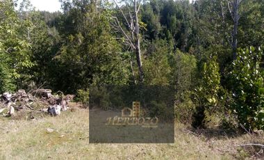 Parcela en Venta Carahue sector Mate Sanchez