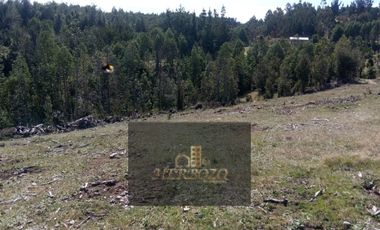 Parcela en Venta Carahue sector Mate Sanchez