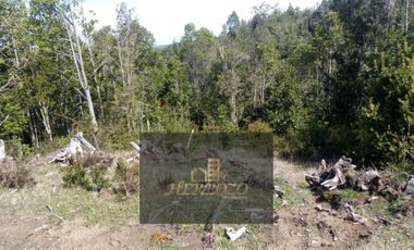 Parcela en Venta Carahue sector Mate Sanchez