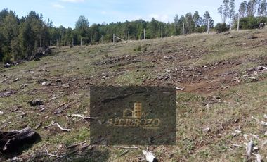 Parcela en Venta Carahue sector Mate Sanchez