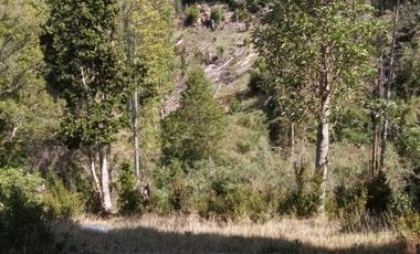 Parcela en Venta Carahue sector Mate Sanchez