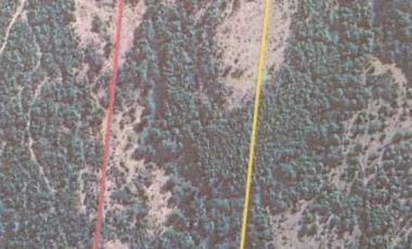 Parcela en Venta Carahue sector Mate Sanchez