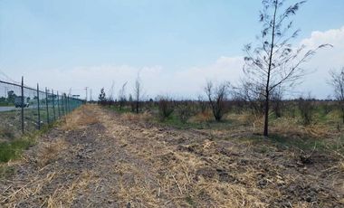 ¡Oportunidad Única de Inversión en Texcoco!