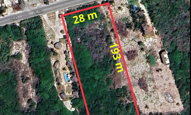 TERRENO/LOTE EN VENTA MERIDA, PLAYA CHELEM, ENTREGA INMEDIATA.