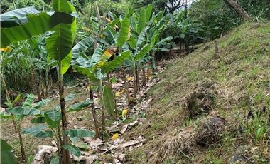 VENDO FINCA 1.5 HECTAREAS VEREDA LA SONORA NILO CUNDINAMARCA