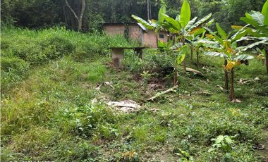 VENDO FINCA 1.5 HECTAREAS VEREDA LA SONORA NILO CUNDINAMARCA