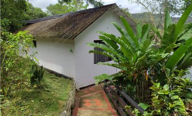 VENDO FINCA 1.5 HECTAREAS VEREDA LA SONORA NILO CUNDINAMARCA