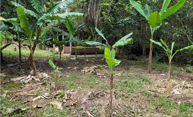 VENDO FINCA 1.5 HECTAREAS VEREDA LA SONORA NILO CUNDINAMARCA