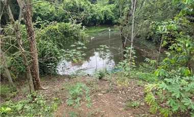 VENDO FINCA 1.5 HECTAREAS VEREDA LA SONORA NILO CUNDINAMARCA