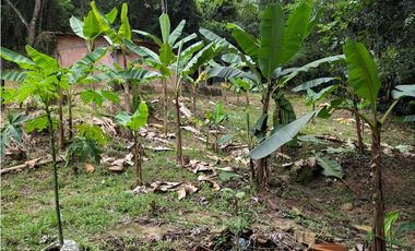 VENDO FINCA 1.5 HECTAREAS VEREDA LA SONORA NILO CUNDINAMARCA