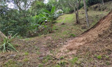 VENDO FINCA 1.5 HECTAREAS VEREDA LA SONORA NILO CUNDINAMARCA