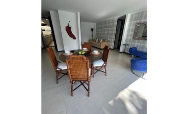 APARTAMENTO AMOBLADO EN PANCE