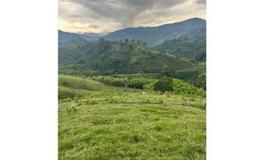 VENTA FINCA  8 CUADRAS AVENIDA CENTENARIO ARMENIA