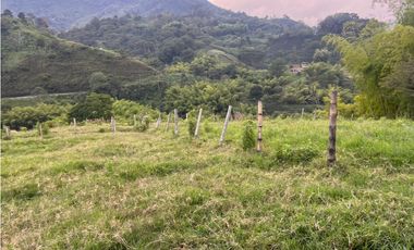 VENTA FINCA  8 CUADRAS AVENIDA CENTENARIO ARMENIA