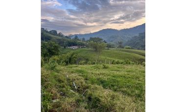 VENTA FINCA  8 CUADRAS AVENIDA CENTENARIO ARMENIA