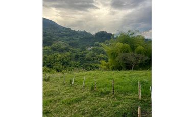 VENTA FINCA  8 CUADRAS AVENIDA CENTENARIO ARMENIA