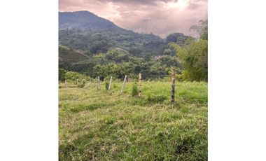 VENTA FINCA  8 CUADRAS AVENIDA CENTENARIO ARMENIA