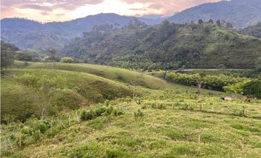 VENTA FINCA  8 CUADRAS AVENIDA CENTENARIO ARMENIA