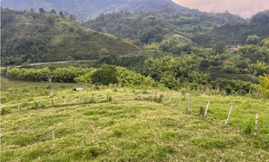 VENTA FINCA  8 CUADRAS AVENIDA CENTENARIO ARMENIA