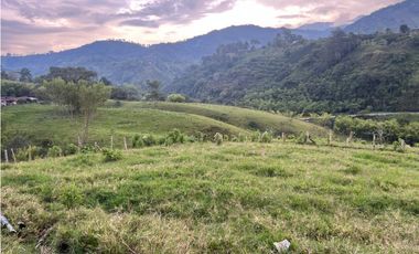 VENTA FINCA  8 CUADRAS AVENIDA CENTENARIO ARMENIA