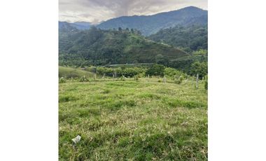 VENTA FINCA  8 CUADRAS AVENIDA CENTENARIO ARMENIA