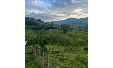 VENTA FINCA  8 CUADRAS AVENIDA CENTENARIO ARMENIA