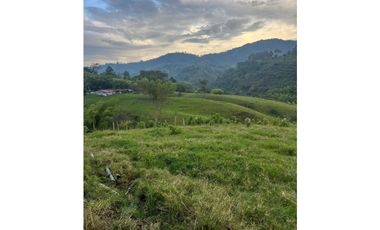 VENTA FINCA  8 CUADRAS AVENIDA CENTENARIO ARMENIA