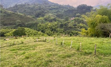 VENTA FINCA  8 CUADRAS AVENIDA CENTENARIO ARMENIA