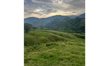 VENTA FINCA  8 CUADRAS AVENIDA CENTENARIO ARMENIA